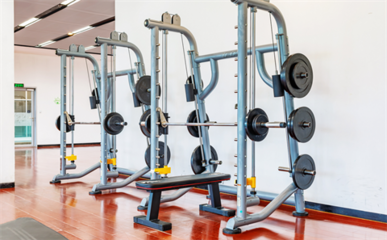 健身器材 从实用工具到空间装饰的艺术演变